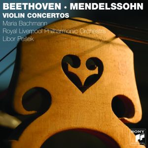 Violin Concerto in D, op. 61: I. Allegro ma non troppo