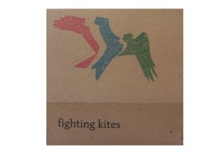 Fighting Kites