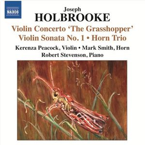 Violin Concerto "The Grasshopper" (Violin Sonata No. 2) Op. 59: I. Allegro con molto fuoco