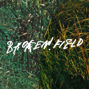 broken.field