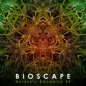 Nature's Geometry EP (EP)
