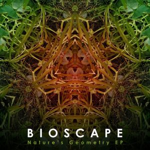 Nature’s Geometry EP (EP)