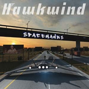 Spacehawks