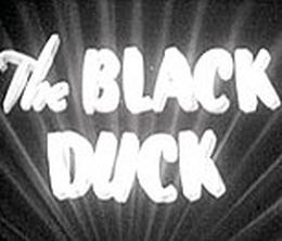 image-https://media.senscritique.com/media/000005481629/0/the_black_duck.jpg