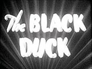 The Black Duck