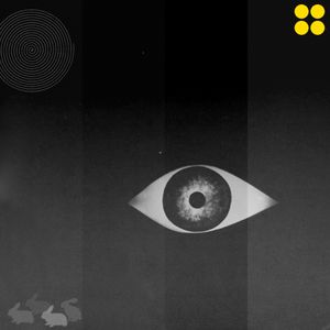 The Unseeing Eye