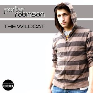 The Wildcat (original mix)