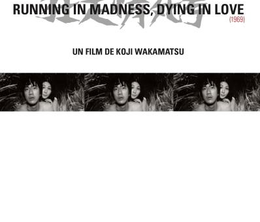 image-https://media.senscritique.com/media/000005485401/0/running_in_madness_dying_in_love.png