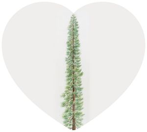 Sequoia (EP)