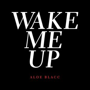 Wake Me Up (Single)