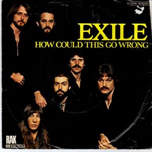 How Could This Go Wrong (Single)