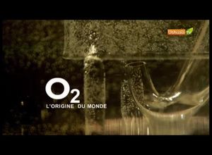 O2, l'origine du monde