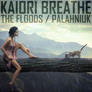 The Floods / Palahniuk (Single)