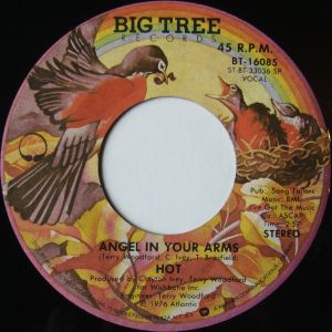 Angel in Your Arms / Just 'Cause I'm Guilty (Single)