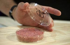 La viande in vitro bientôt dans nos assiettes ?