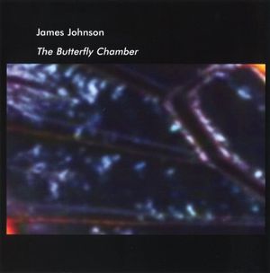 The Butterfly Chamber