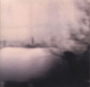 What a Long Strange Journey This Has Been