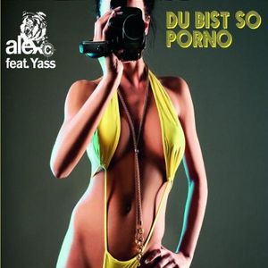 Du bist so Porno (2-4 Grooves remix)