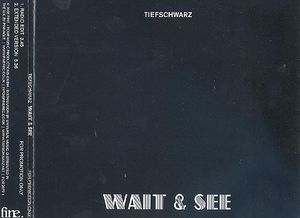Wait & See (Single)