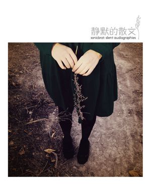 Silent Audiographies