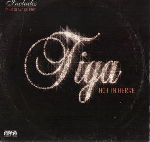 Hot in Herre (Single)