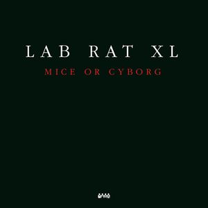 Lab Rat 4