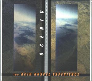 The Acid Gospel Experience