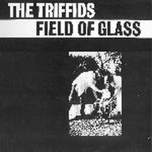Field of Glass (EP)