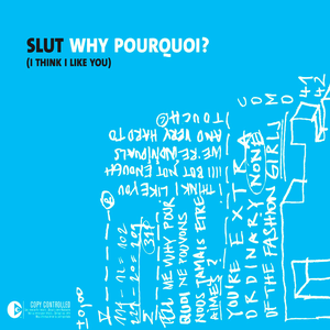 Why Pourquoi? (I Think I Like You) (Single)