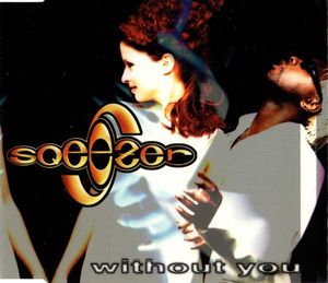 Without You (Groovy Mood mix)