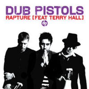 Rapture (Dub Pistols ’Stevie Nicks Dirty Tricks’ Mix)