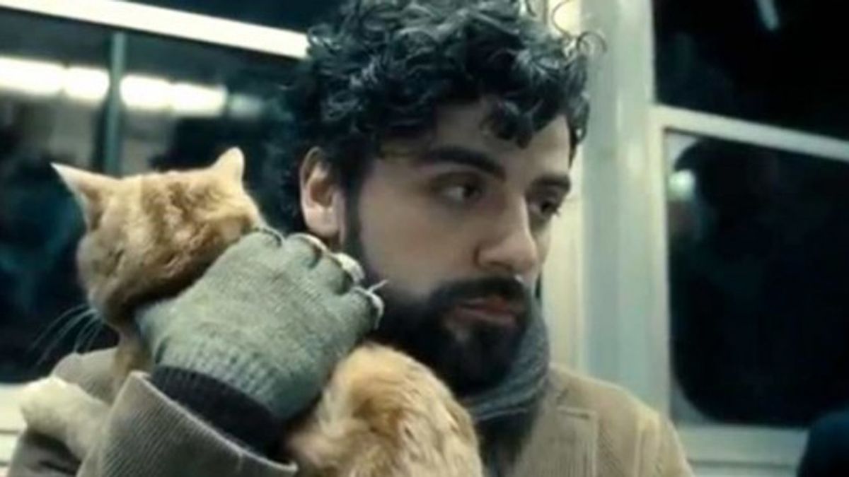 Inside Llewyn Davis Film 2013 Senscritique 