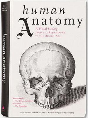 L'anatomie humaine