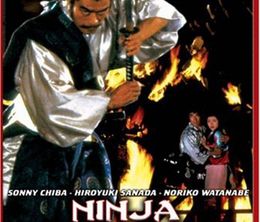 image-https://media.senscritique.com/media/000005607300/0/ninja_wars.jpg