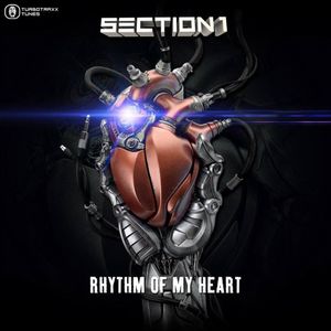 Rhythm of My Heart (extended mix)