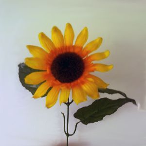 Sunflowers (EP)