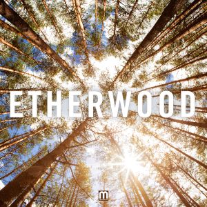 Etherwood (album mix)