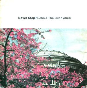 Never Stop (Discotheque) (Single)