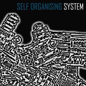 Self-Organising System