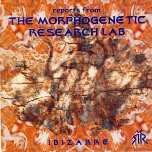 Reports From the Morphogenetic Research Lab