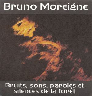 Bruits, sons, paroles et silences de la forêt