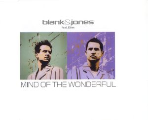 Mind of the Wonderful (Single)