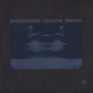 Descension Yellow Swans