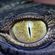 Avatar Crocrodyl Avatar Crocrodyl