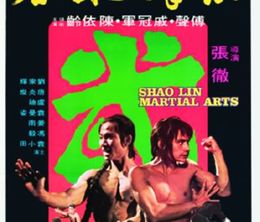 image-https://media.senscritique.com/media/000005686378/0/shaolin_martial_arts.jpg