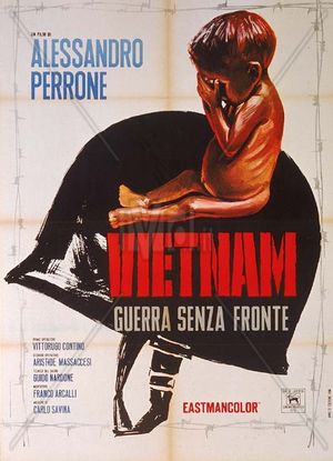 Vietnam guerra senza fronte