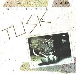 Tusk