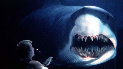 Les films où le requin mord