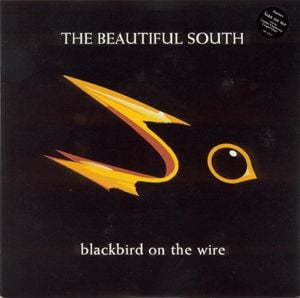 Blackbird on the Wire (Single)