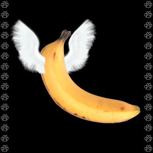 La Banane Libre